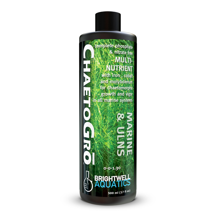 TEST FRUIT PRODUCT 3